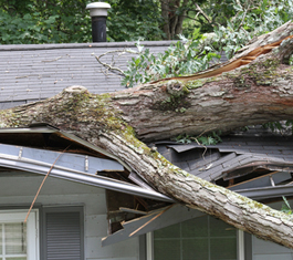 Wind, fallen trees, hail, water leaks, or siding damage are often the result of storms in Southern Oregon. When 'stuff' happens call us first.  541.727.7340